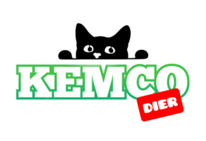 Logo kemcodier